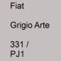 Preview: Fiat, Grigio Arte, 331 / PJ1.